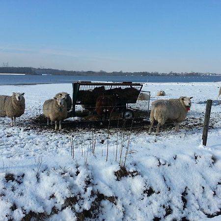 B&B De Rivierduin Hattem Luaran gambar